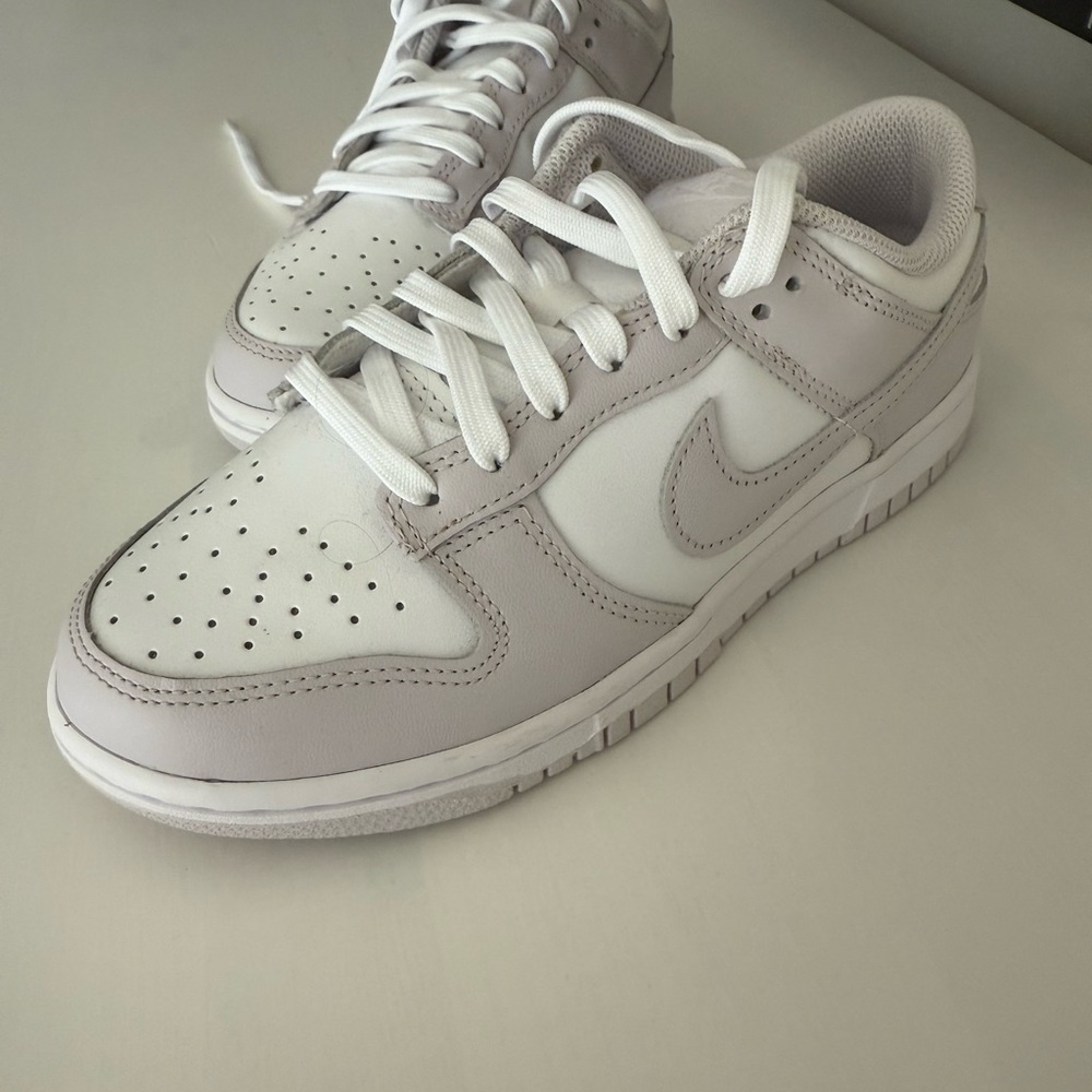 Nike Dunk Low Venice